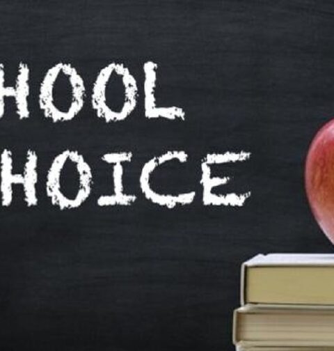 school choice Tennessee