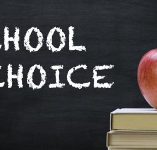 school choice Tennessee