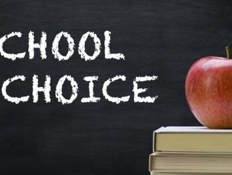 school choice Tennessee