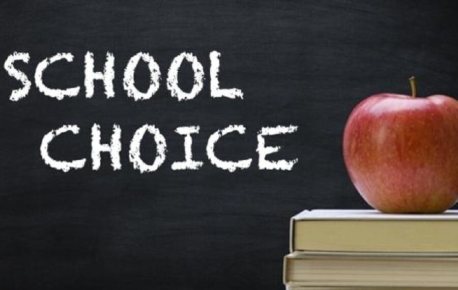 school choice Tennessee