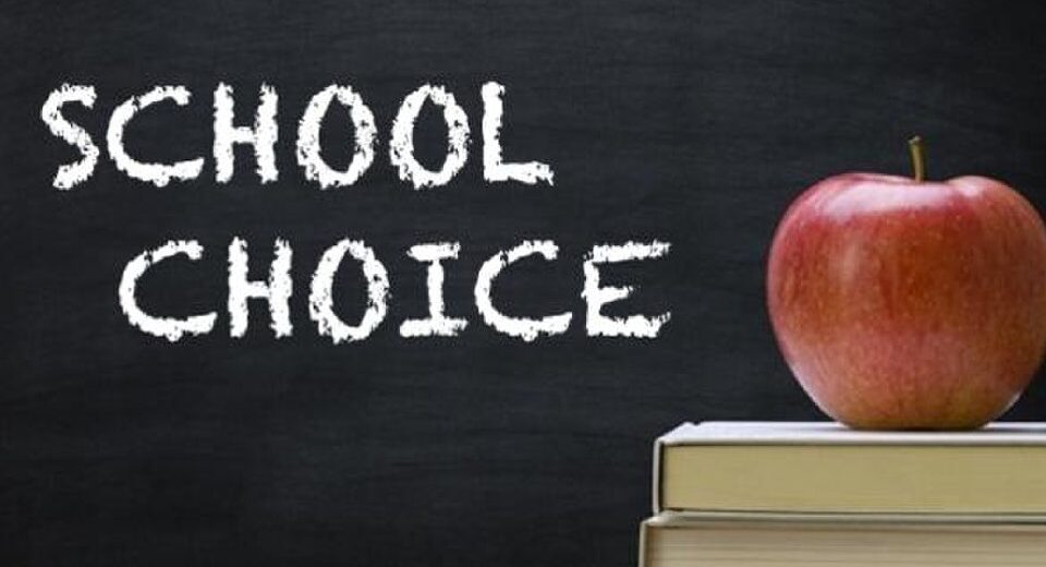 school choice Tennessee